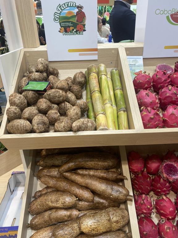 Exhibitor from Costa Rica at Fruit Attraction 2023, showcasing roots and tubers and red pitahayas