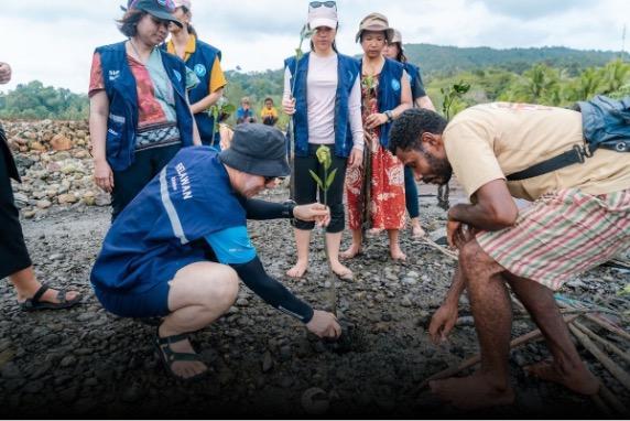 tree planting