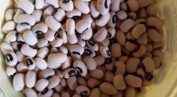 Cowpeas or black-eyed peas/beans