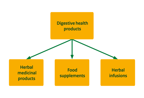 Market segmentation for digestive health products