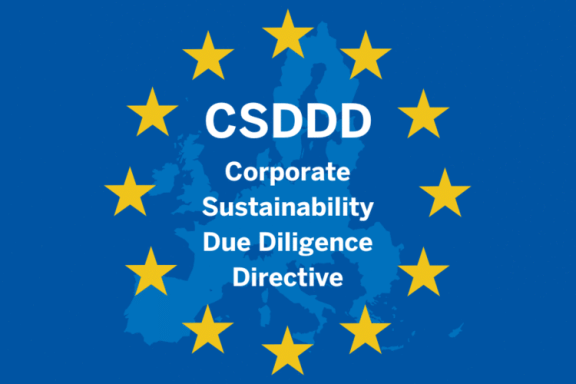 Figure 10: Europe’s new law: the Corporate Sustainability Due Diligence Directive (CSDDD)