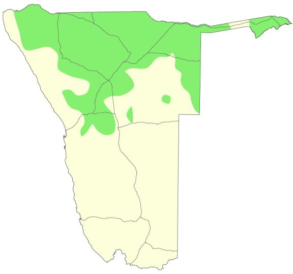 Presence of Ximenia trees and shrubs in Namibia