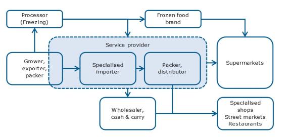Figure 5: Supply channels for fresh peas in Europe