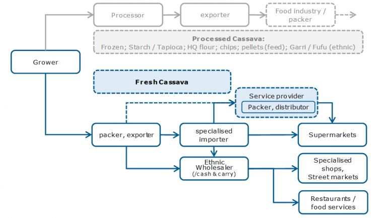 European market channels for fresh cassava