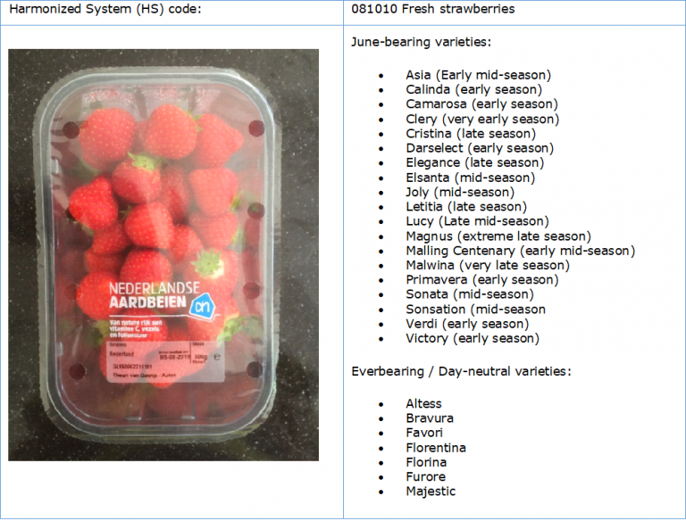 Strawberries types and the Harmonized System (HS) code