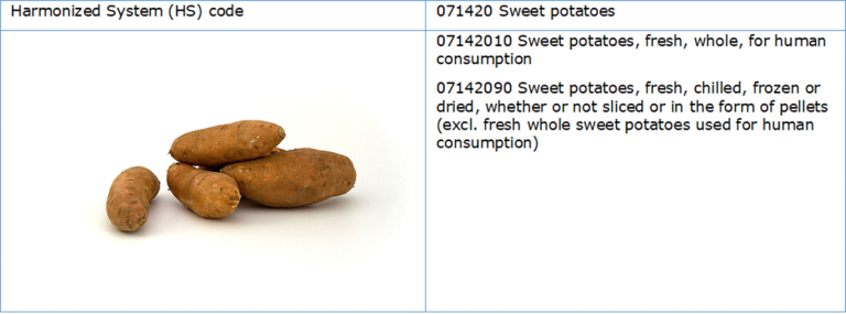 The European sweet potato market has not yet reached its full potential. Growing import together with local production initiatives are fostering mainstream consumption and product development. Consumption is most developed in the UK, and the Netherlands positions itself as a trade hub for northern European growth markets such as Germany and France. Product description  The sweet potato (Scientific name: Ipomoea batatas) is a root vegetable. Despite its name, the sweet potato does not belong to the same fami