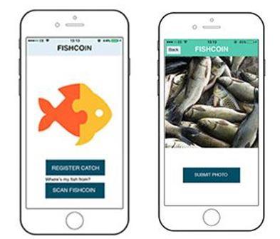 Fishcoin application