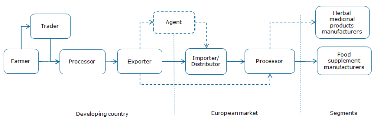 Export value chain for turmeric for health products