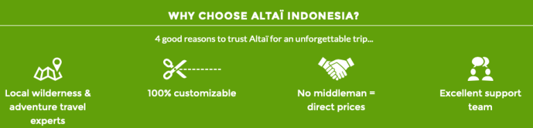 Why choose Altaï Indonesia?