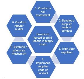 Steps to ensure no forced or child labour