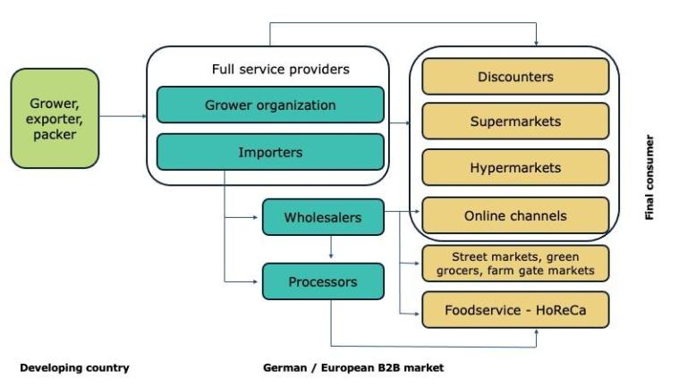 the German value chain of fresh fruit and vegetables 