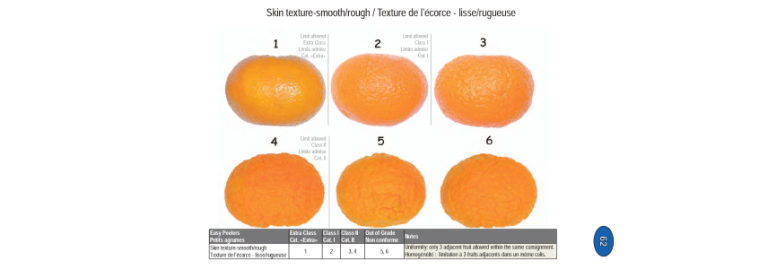 Example of grading mandarins