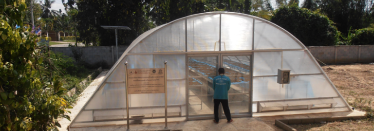 Sun-drying facility for spices in Thailand, from the outside