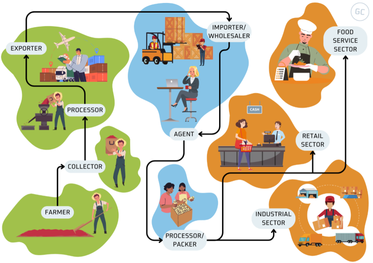 Sustainability impacts along the grains, pulses and oilseeds supply chain (not exhaustive)