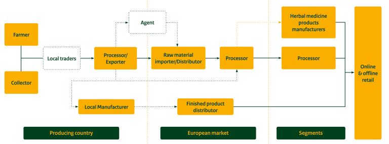 Export value chain for Ayurvedic ingredients