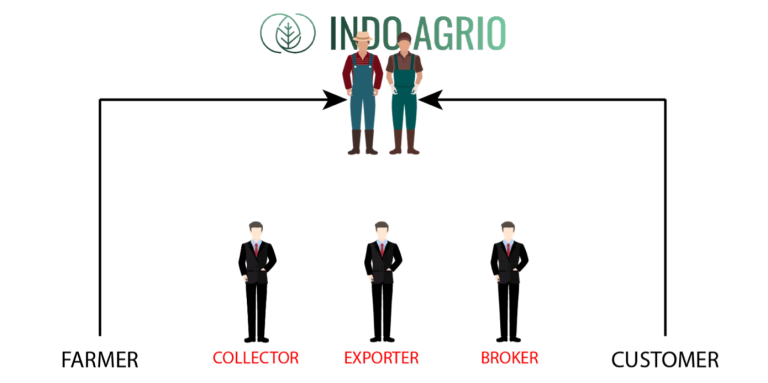  Indo Agrio’s trade model