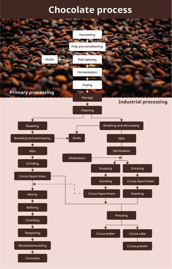 Steps in the production of semi-finished cocoa products and chocolate