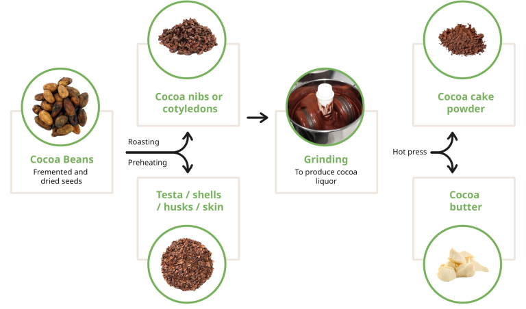 Components of the cocoa bean from processing