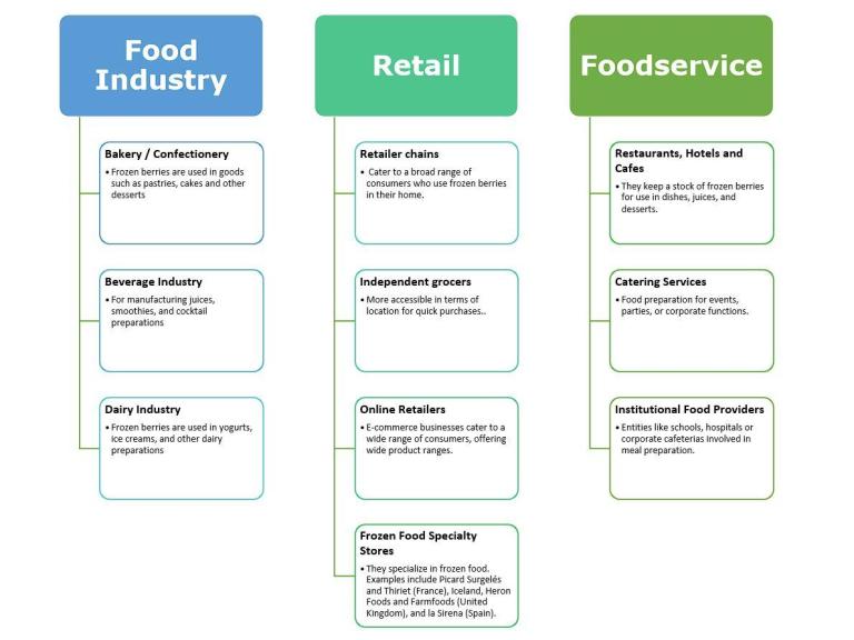 End market segments for frozen berries 