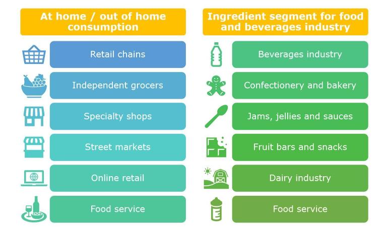 nd-market segments for mango puree in Europe