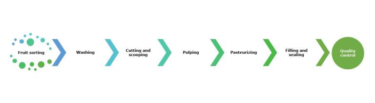The mango puree manufacturing process