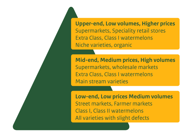 Segmentation of the watermelon market