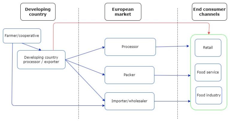 European market channels for pickled cucumbers and gherkins 