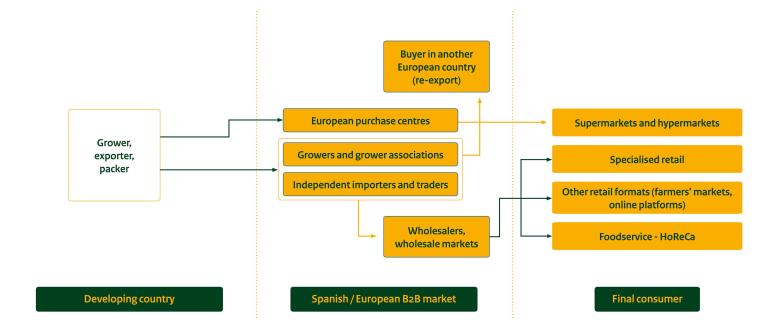  Distribution channels for fresh fruit and vegetables in Spain