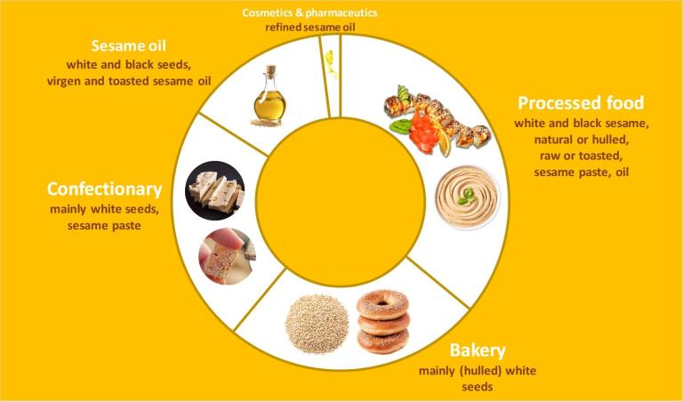 Indicative visualisation of the market segments for sesame seeds