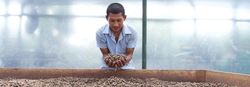 Man holding cocoa beans