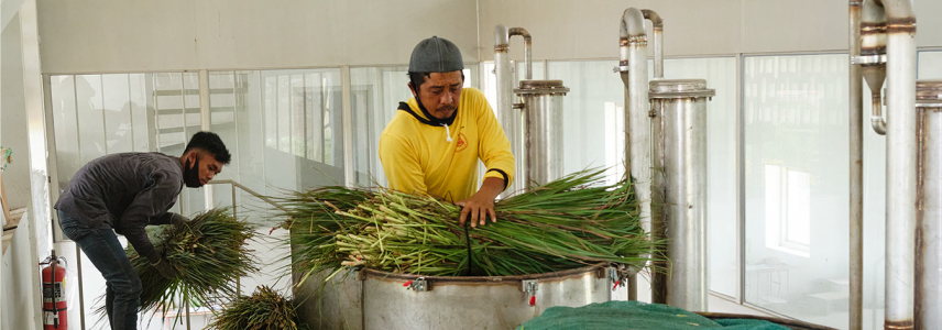 people processing natural ingredients